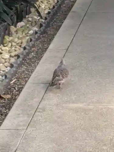 永昌寺(東京都)