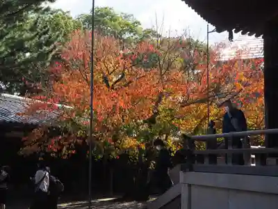 法隆寺(奈良県)