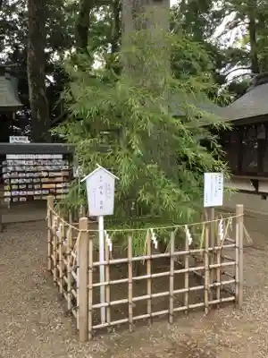 一言主神社のその他建物