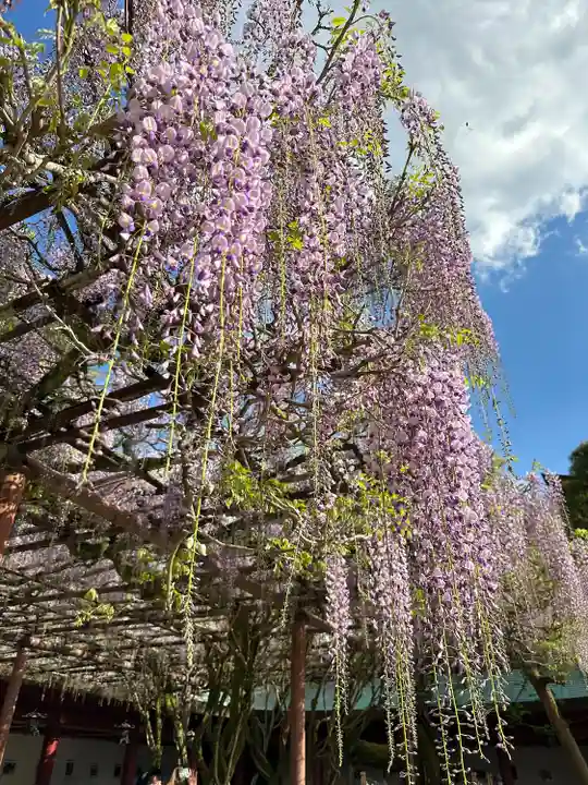 笠間稲荷神社(茨城県)