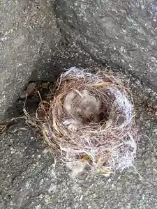 岡部春日神社~👹鬼門よけの🌺花咲く🌺やしろ~(福島県)(2024年05月17日(金) 07時05分08秒投稿)