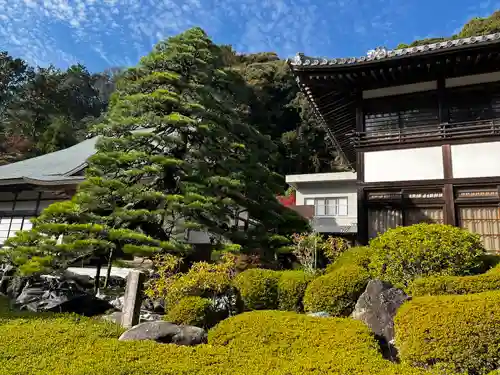 尊永寺(静岡県)