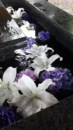 新琴似神社の手水舎