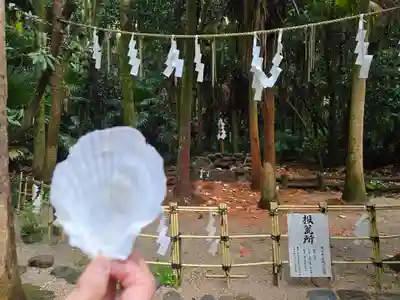 青島神社（青島神宮）(宮崎県)