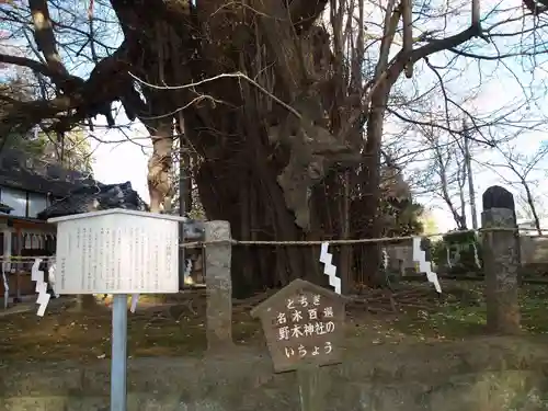 野木神社(栃木県)