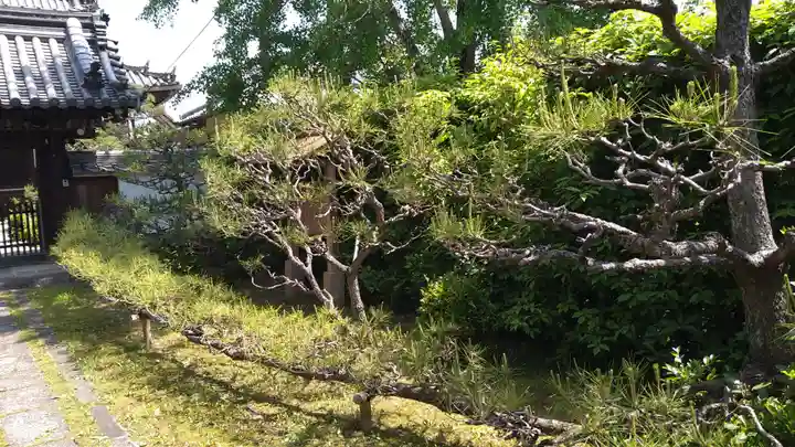 平隆寺(奈良県)