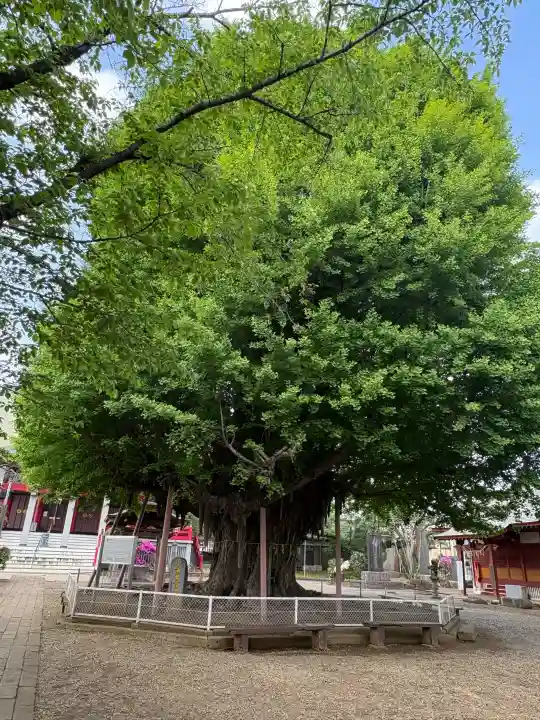 千葉寺の{uncategorized: "未分類", other: "その他", undefined: "問題あり", building: "その他建物", grave: "お墓", sacred_gate: "鳥居", guardian: "狛犬", statue: "像", buddha: "仏像", history: "歴史", nature: "自然", garden: "庭園", animal: "動物", pagoda: "塔", temizu: "手水舎", mountain_gate: "山門・神門", sanctuary: "本殿・本堂", subordinate: "末社・摂社", art: "芸術", scenery: "景色", jizo: "地蔵", ema: "絵馬", goshuin: "御朱印", omikuji: "おみくじ", items: "授与品その他", amulet: "お守り", goshuincho: "御朱印帳", eats: "食事", festival: "お祭り", votive_dance: "神楽", shichigosan: "七五三参", wedding: "結婚式", experience: "体験その他", initially: "初詣", around: "周辺", anti_infection: "感染症対策"}
