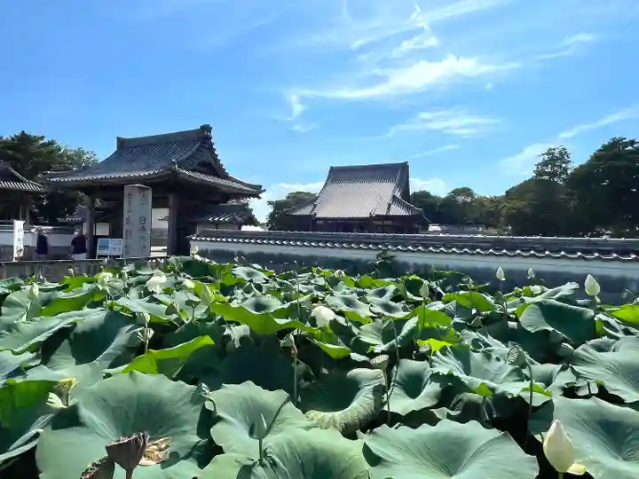 雲龍山 本證寺(愛知県)