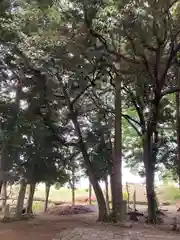 雀神社(茨城県)