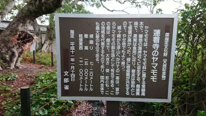 蓮着寺のその他建物