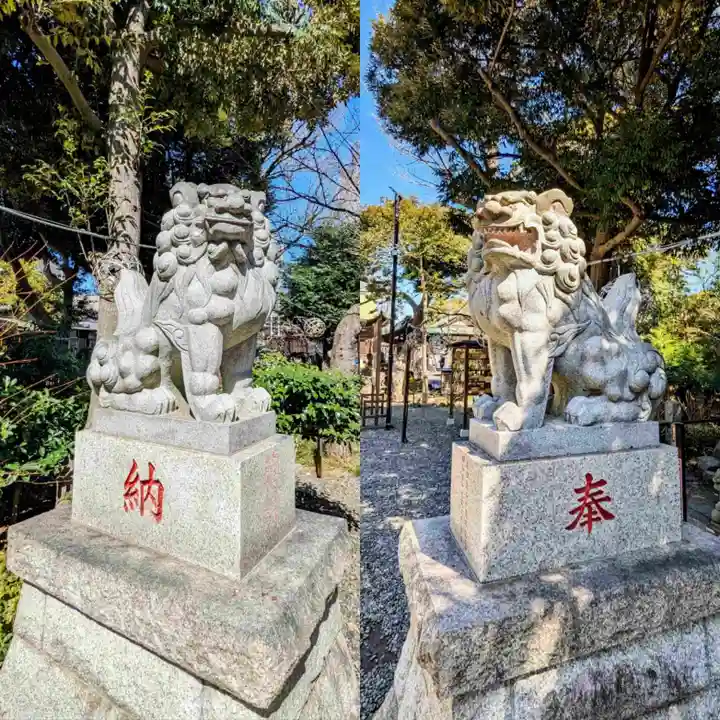 菊田神社の狛犬