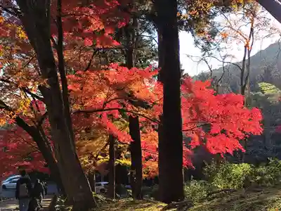 毘沙門堂門跡(京都府)