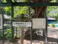 山梨岡神社(山梨県)