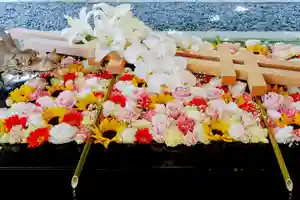 帯廣神社の手水舎(2024年06月28日(金) 16時51分33秒投稿)