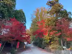 成相寺(京都府)