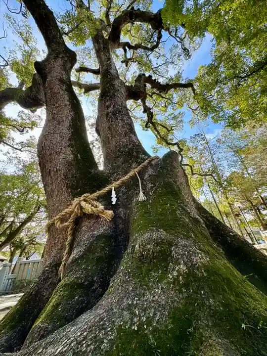 伊弉諾神宮(兵庫県)