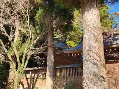 和気神社の本殿・本堂