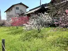 住吉神社(岐阜県)