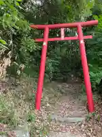 空幣稲荷大明神の鳥居