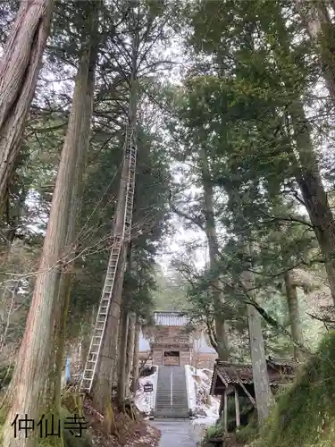 仲仙寺(長野県)