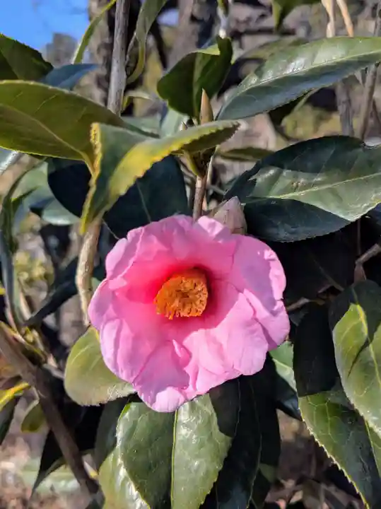 横浜 西方寺(神奈川県)