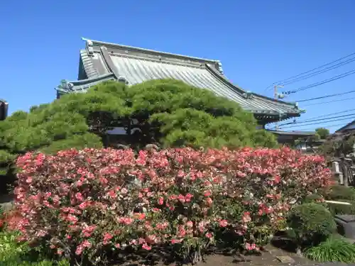 九品寺の景色