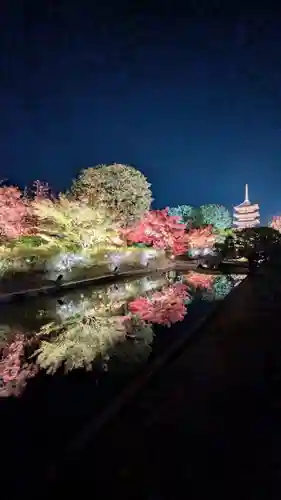 東寺（教王護国寺）(京都府)