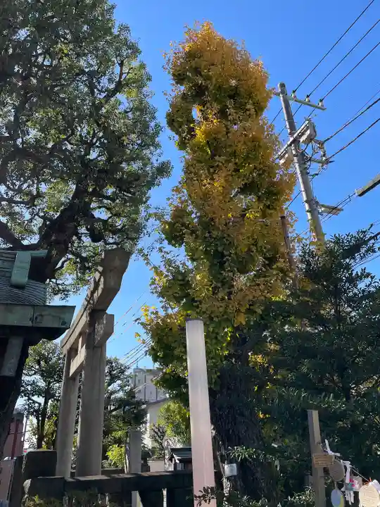 麻布氷川神社の自然