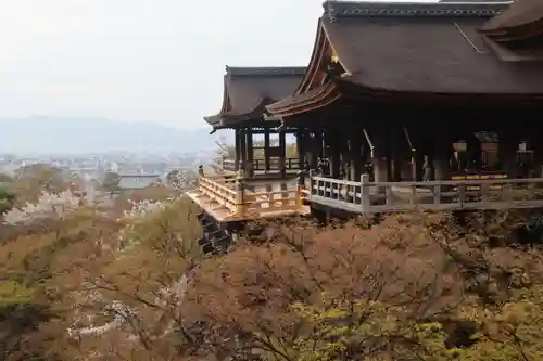 清水寺(京都府)