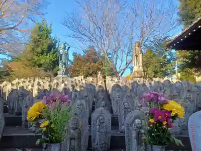 大円寺(東京都)