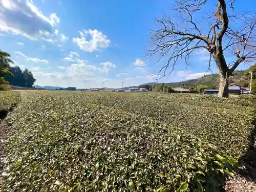 妙楽寺(滋賀県)