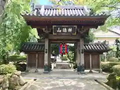 栽松院の山門