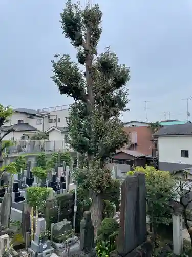 全生庵(東京都)