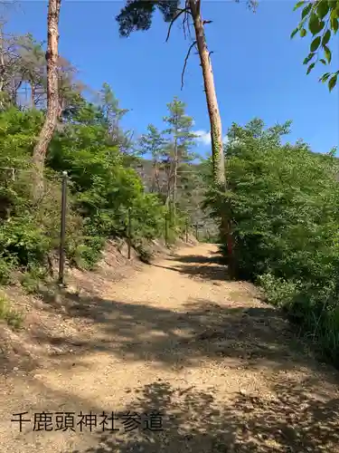 千鹿頭神社(長野県)