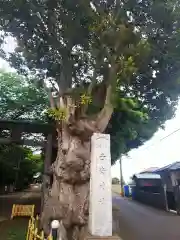 畑子安神社の建物その他