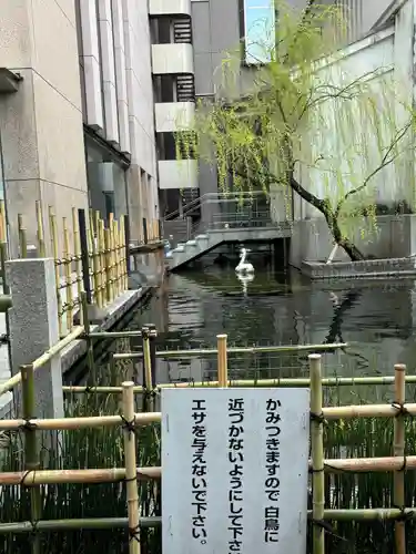 頂法寺（六角堂）(京都府)