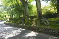 廣隆寺(京都府)