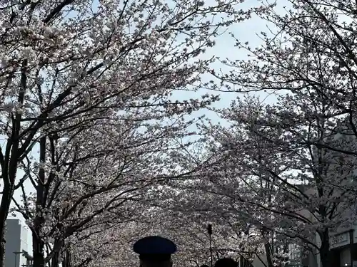 鶴岡八幡宮の景色