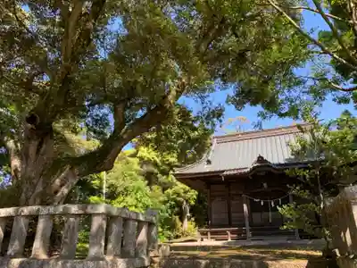 熊野神社の本殿・本堂