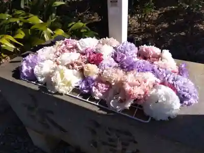 初生衣神社(静岡県)