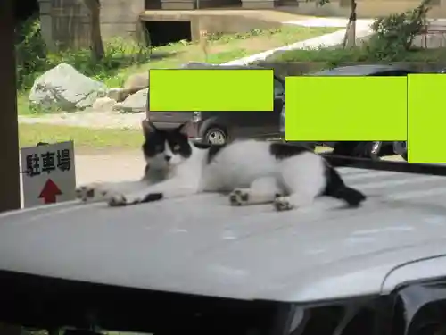 間々田八幡宮(栃木県)