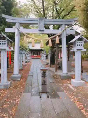 芳川神社の鳥居