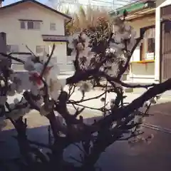 大鏑神社の自然