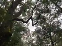 伊勢神宮内宮(皇大神宮)(三重県)