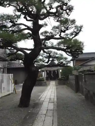 都久生須麻神社(滋賀県)