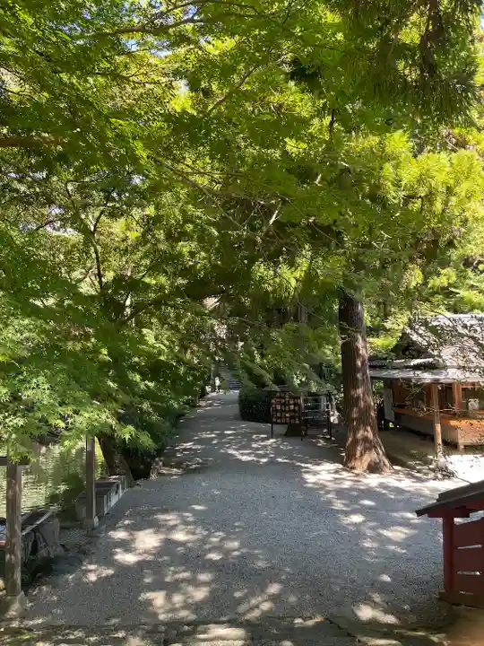 高鴨神社(奈良県)