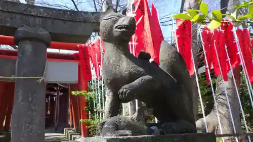 安積國造神社の狛犬