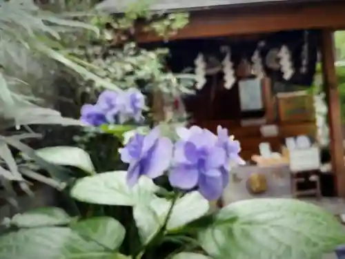 五十稲荷神社(栄寿稲荷神社)(東京都)