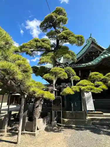 題経寺（柴又帝釈天）(東京都)