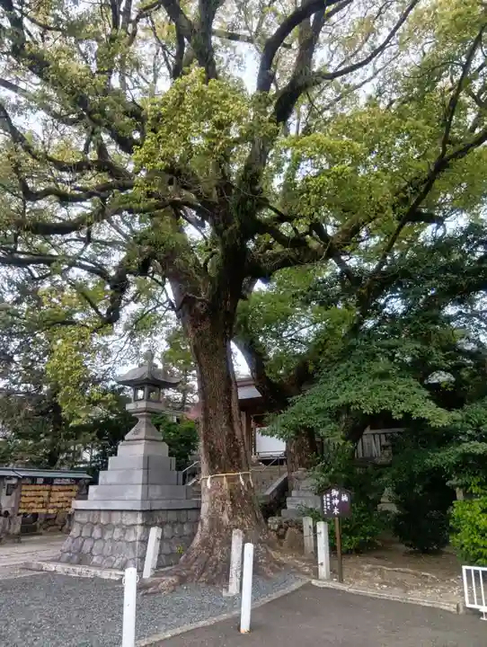 加納天満宮(岐阜県)